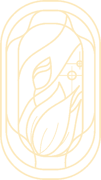 logo-lirio-transparente2 logo lirio transparente2
