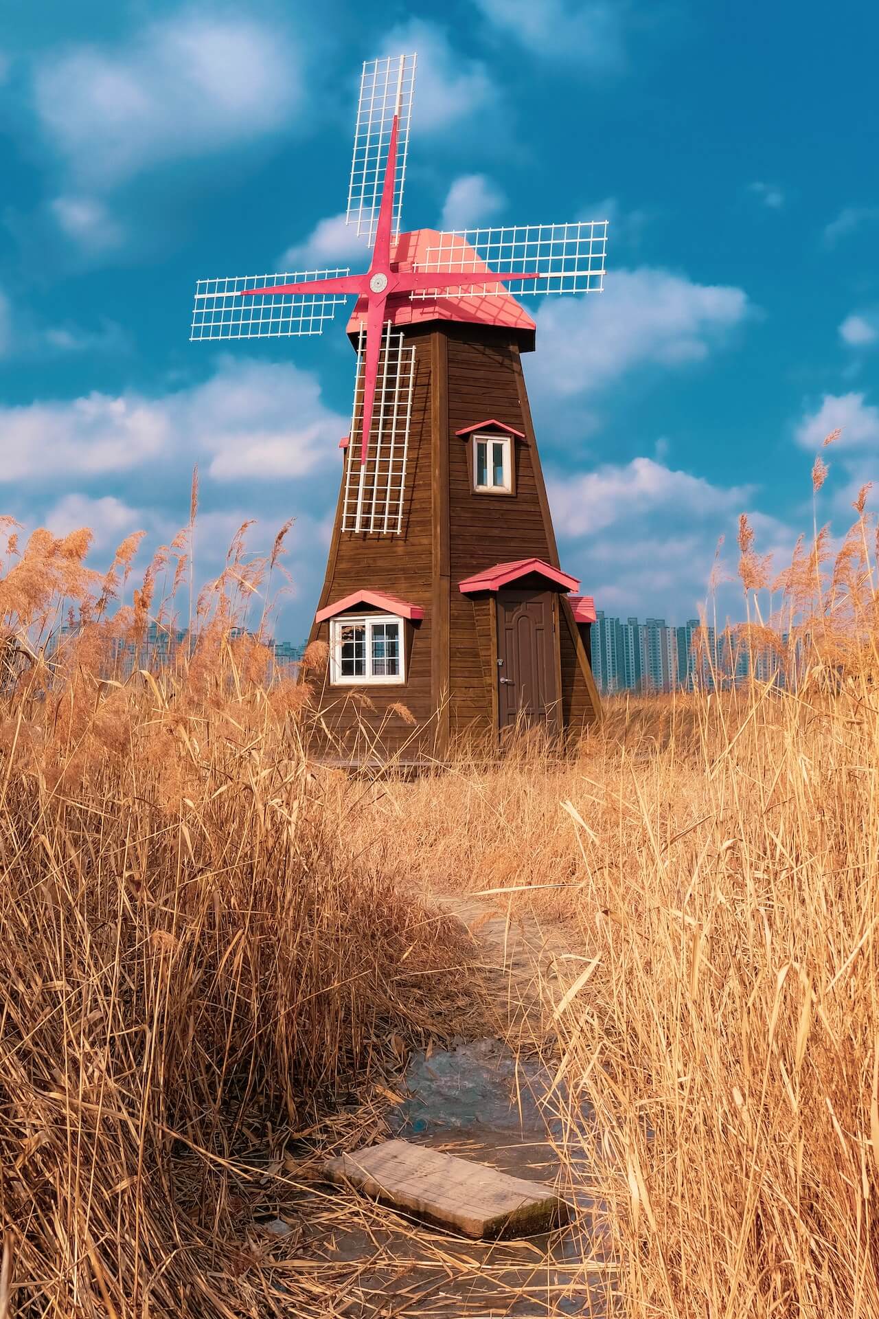 mill molino