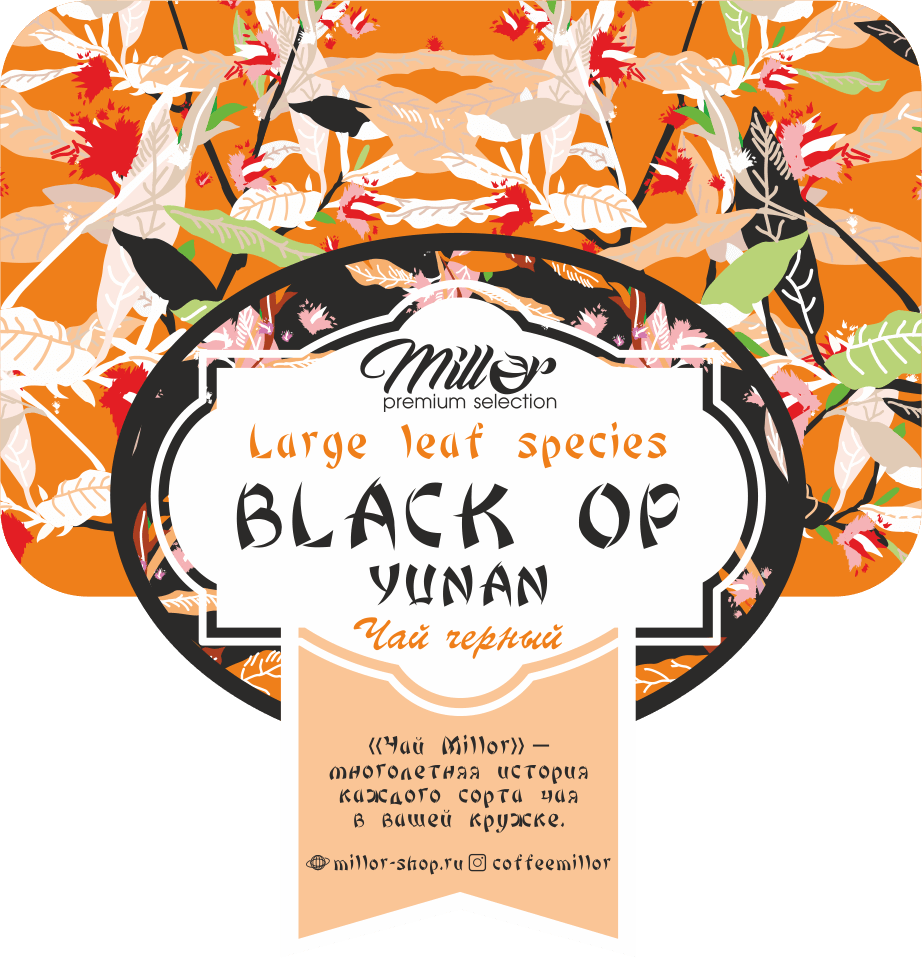 упаковка-дизайн-короткая-этикетка-зеленый-чай-иллюстрация6 packaging diseno etiqueta corta del te verde ilustracion6