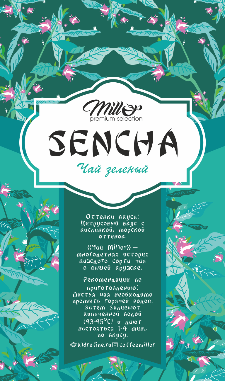 упаковка-дизайн-этикетка-зеленого-чая-иллюстрация3 packaging diseno etiqueta del te verde ilustracion3